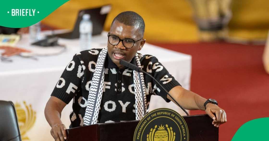 The ANCYL president Collen Malatji slammed Panyaza Lesufi's cabinet The ANCYL president Collen Malatji slammed Panyaza Lesufi's cabinet