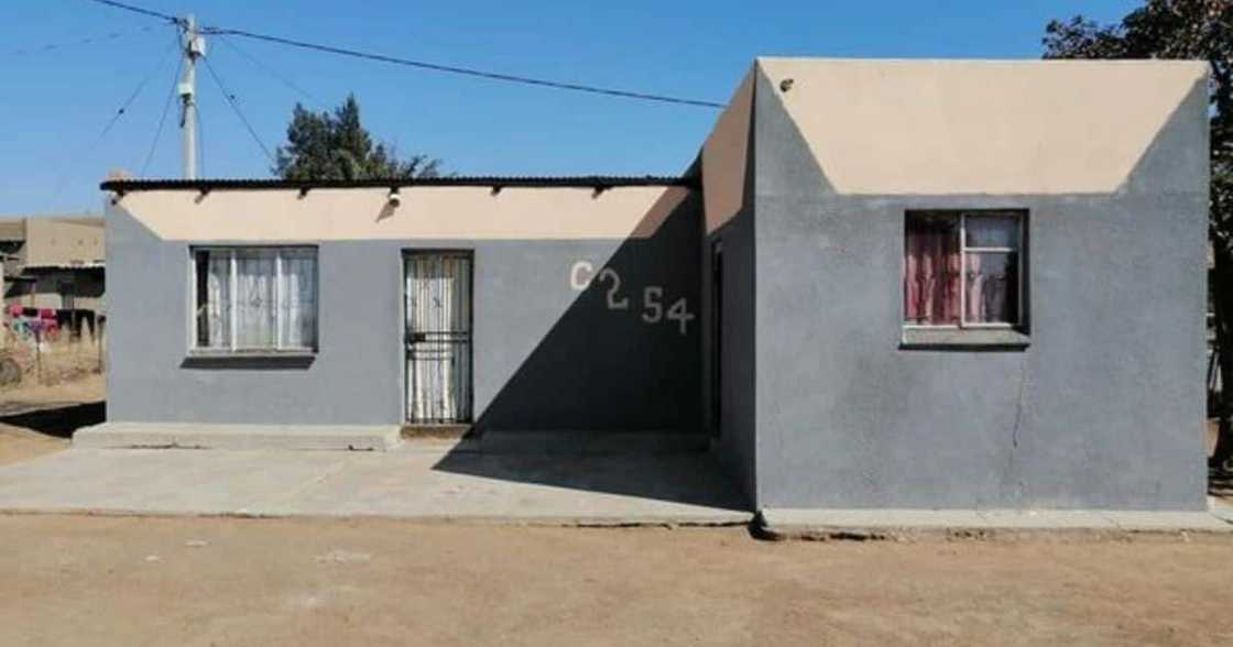 Mandela Day, Man, House, Free, Mzansi Mandela Day, Man, House, Free, Mzansi