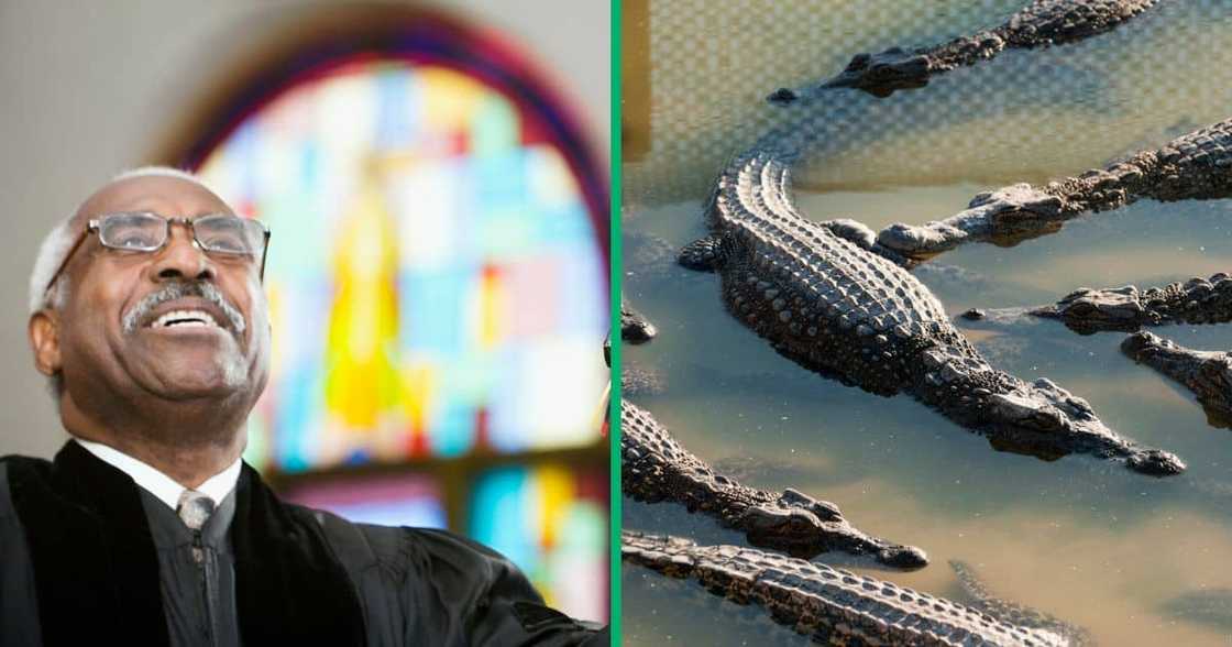 A prophet died after falling into crocodile infested waters in Limpopo A prophet died after falling into crocodile infested waters in Limpopo