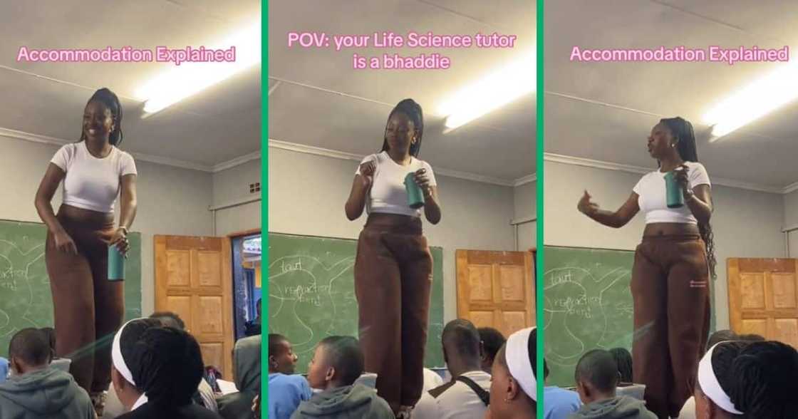 life science tutor life science tutor
