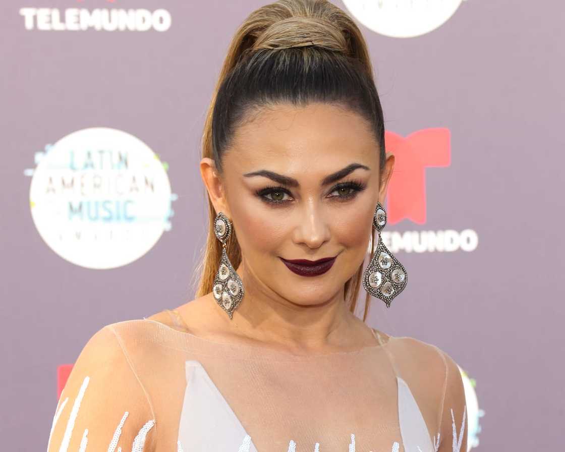 Aracely Arambula during the 2018 Latin American Music Awards at Dolby Theatre on 25th October 2018.