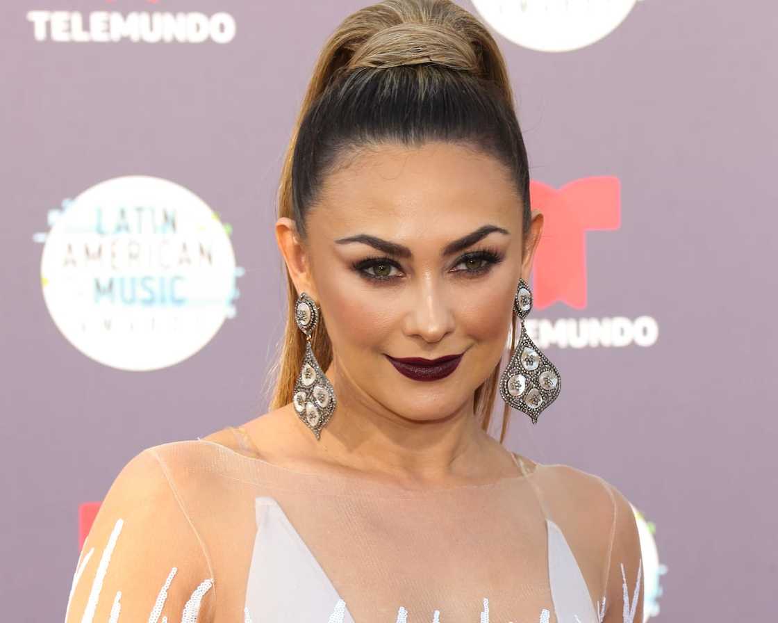 Aracely Arambula during the 2018 Latin American Music Awards at Dolby Theatre on 25th October 2018. Aracely Arambula during the 2018 Latin American Music Awards at Dolby Theatre on 25th October 2018.