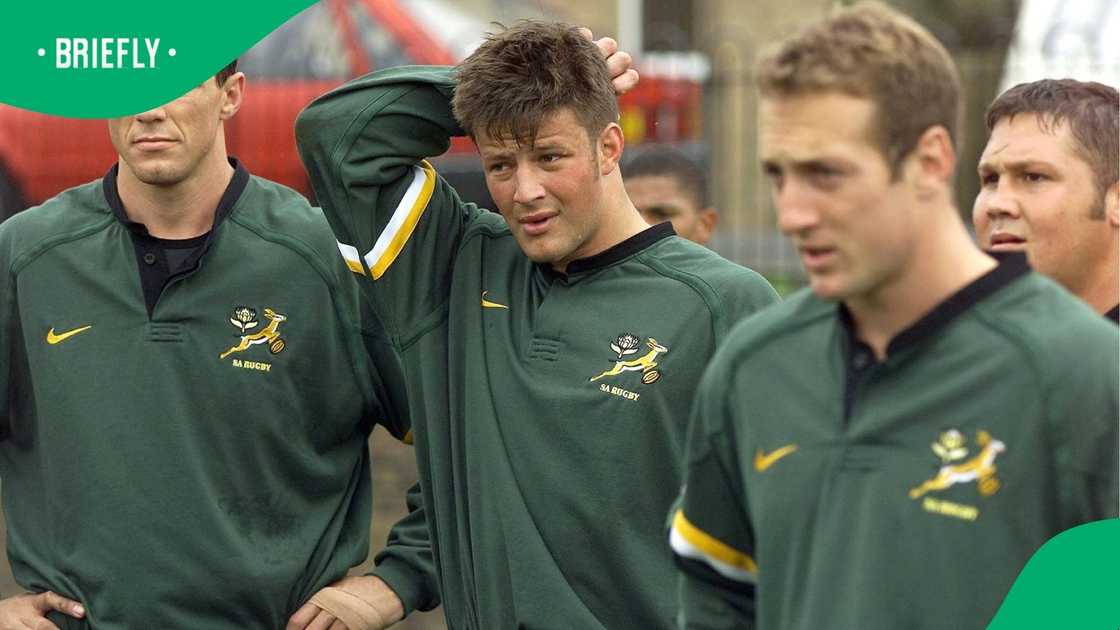 Springboks