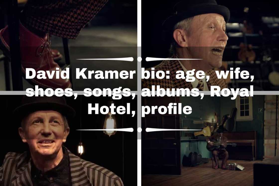 David Kramer bio David Kramer bio