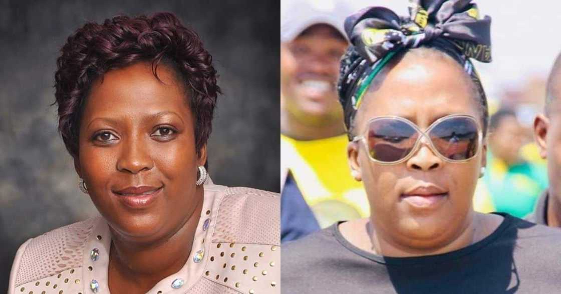 Fact check: No, Mpumalanga premier's child did not score vaccine tender Fact check: No, Mpumalanga premier's child did not score vaccine tender