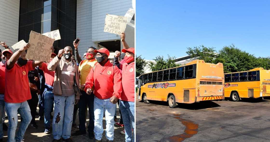 Putco strike