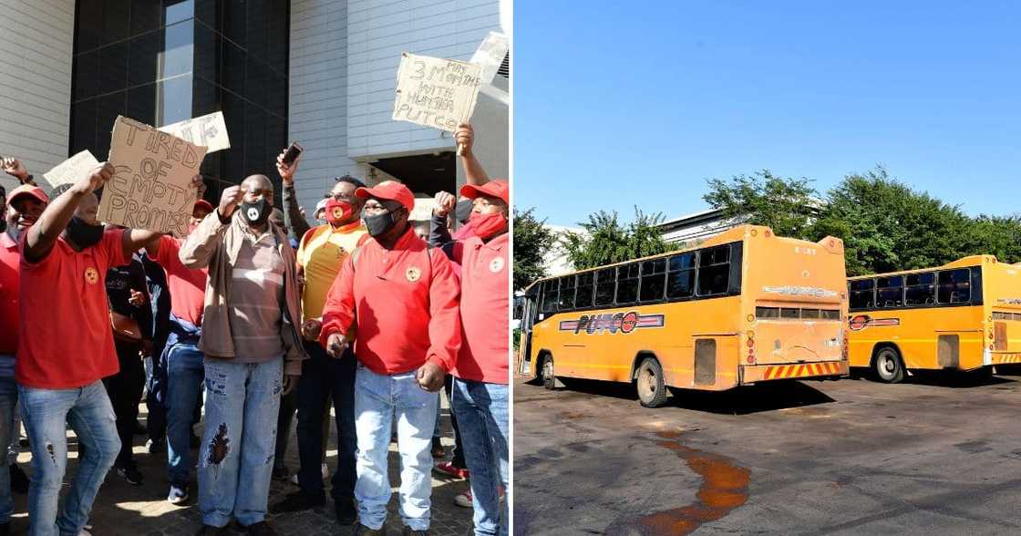Putco strike Putco strike