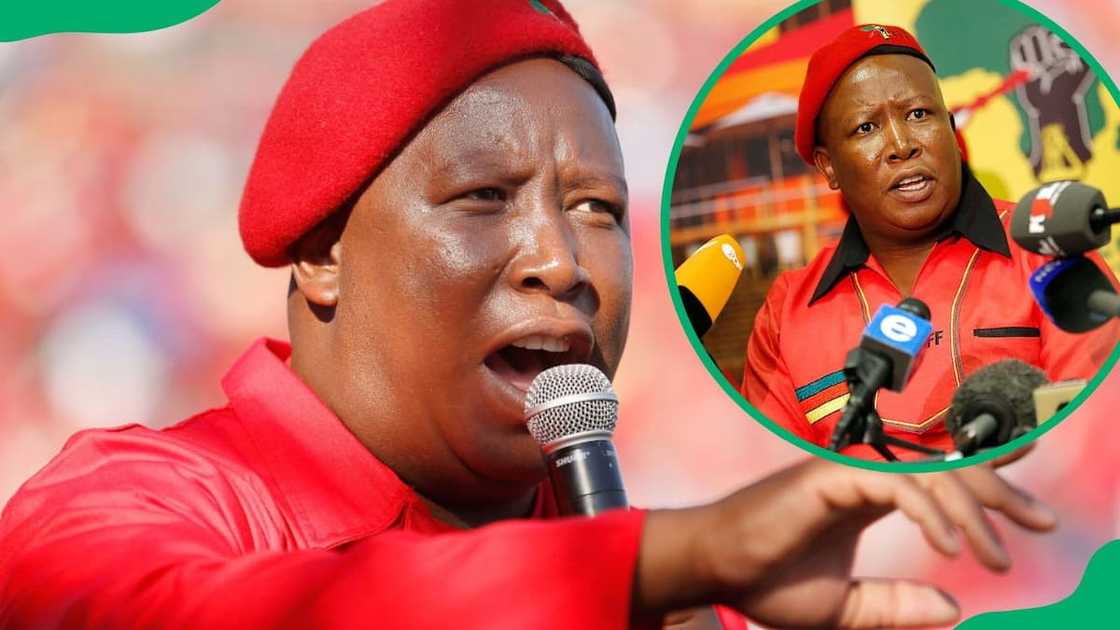 EFF’s Julius Malema EFF’s Julius Malema