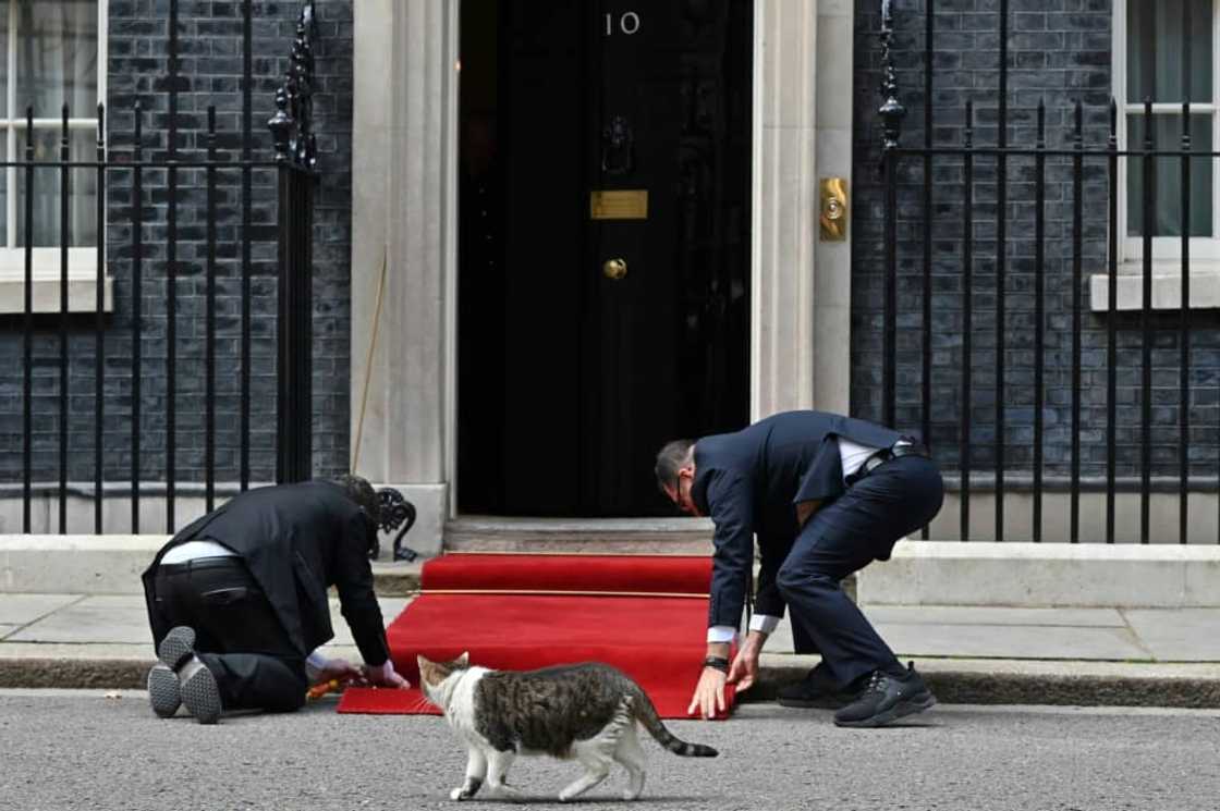 The Conservatives say the successor to Truss will be elected by the end of next week The Conservatives say the successor to Truss will be elected by the end of next week