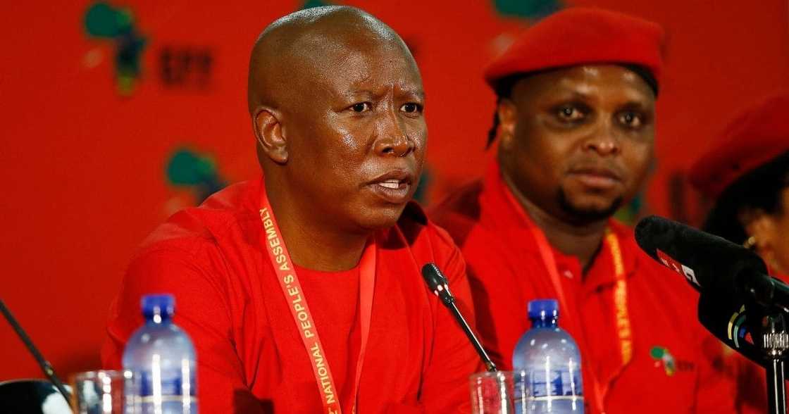 Malema calls SANEF out for alleged comments, forum denies claims Malema calls SANEF out for alleged comments, forum denies claims