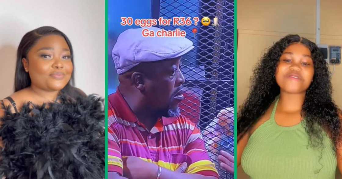 Some of the most useful plugs have gone viral on TikTok in 2023 Some of the most useful plugs have gone viral on TikTok in 2023