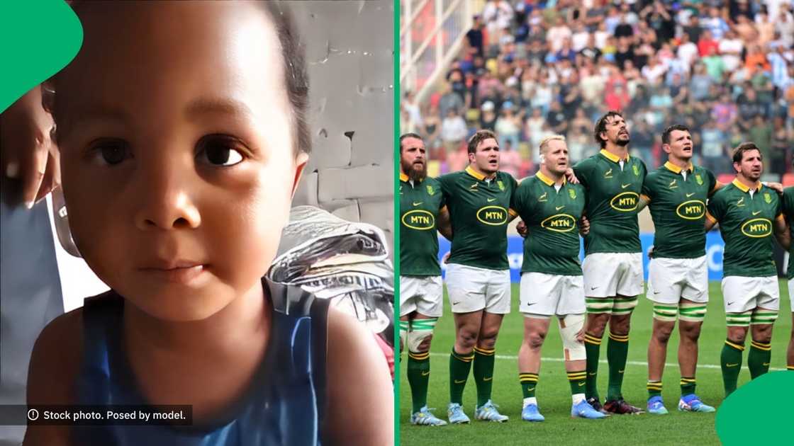 A toddler named Springboks players with ease, leaving the internet impressed.