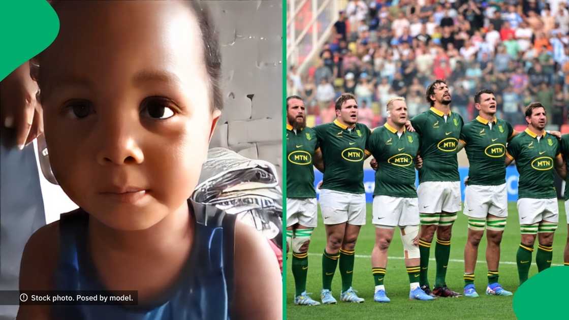 A toddler named Springboks players with ease, leaving the internet impressed. A toddler named Springboks players with ease, leaving the internet impressed.