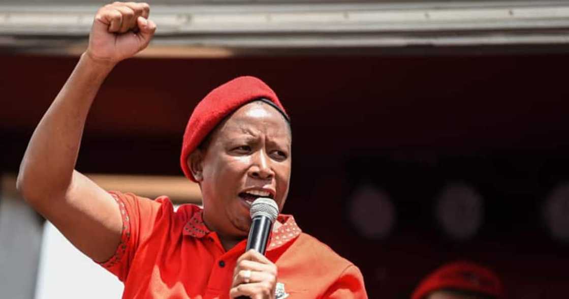 Malema Tells South Africa, "You Are Not the Children of Cowards" Malema Tells South Africa, "You Are Not the Children of Cowards"