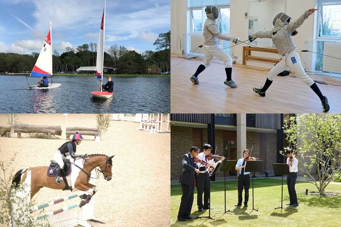 best private primary schools in Johannesburg best private primary schools in Johannesburg
