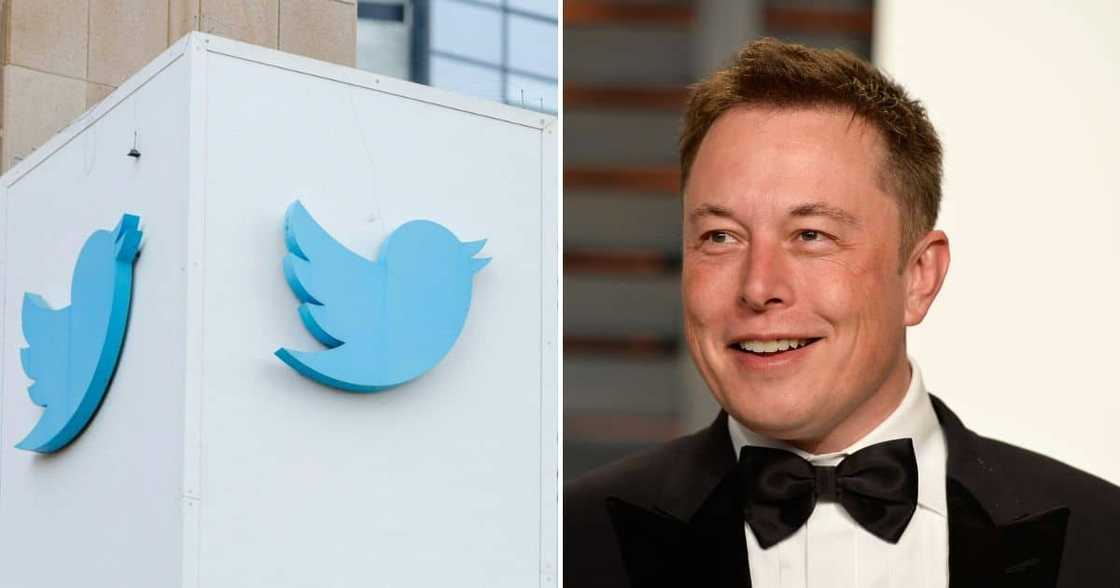 elon musk elon musk