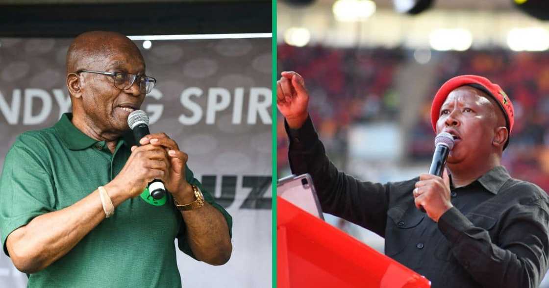 EFF president Julius Malema distanced himself from the MK party EFF president Julius Malema distanced himself from the MK party