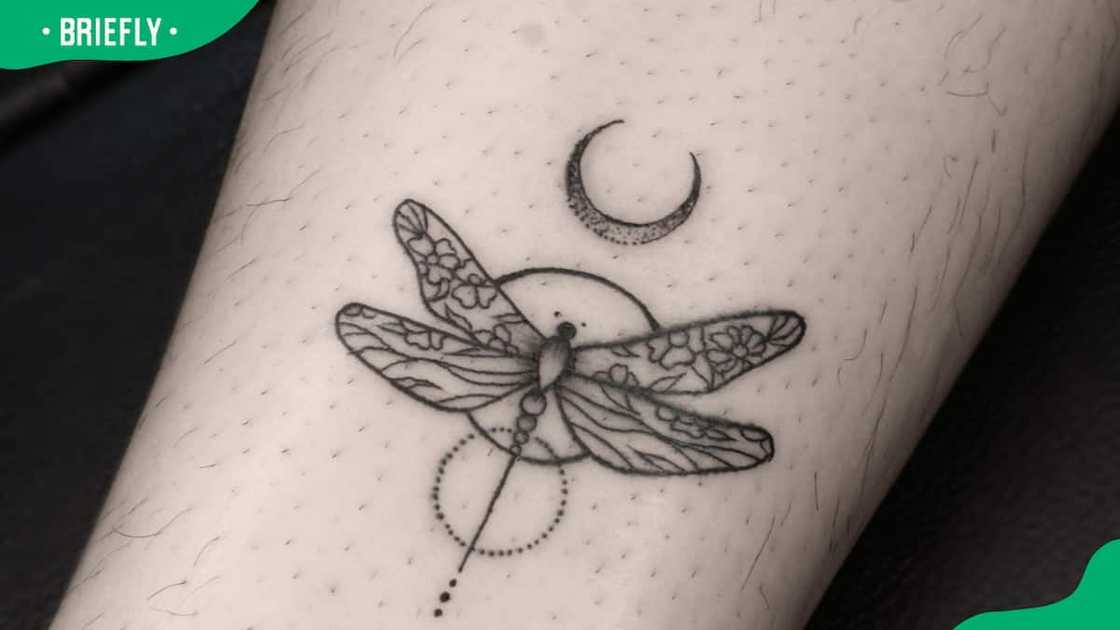 Crescent moon-perched intuitive dreamer Crescent moon-perched intuitive dreamer