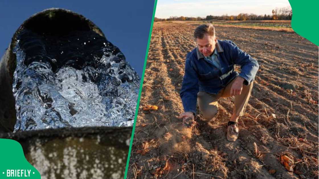 water crisis food insecurity