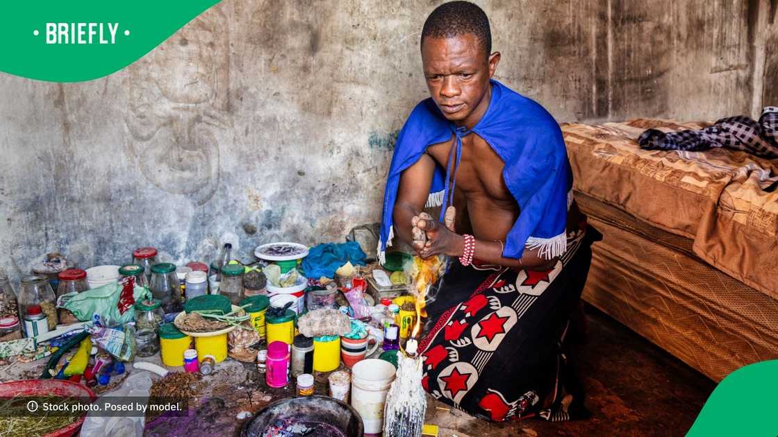 Mzansi traditional healer Mzansi traditional healer