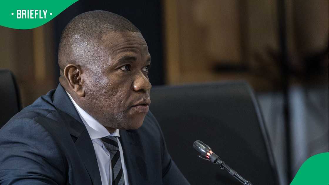 Parliament's Ad Hoc Committee will probe claims made by Lieutenant-General Nhlanhla Mkhwanazi