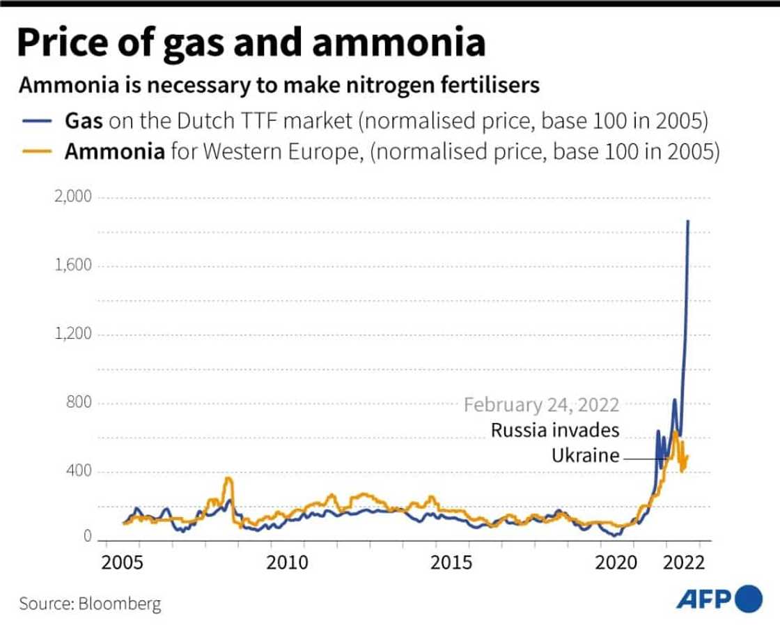 Price of gas and ammonia