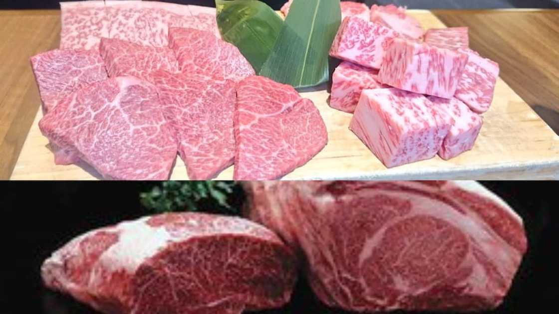 Hida-Gyu steak Hida-Gyu steak