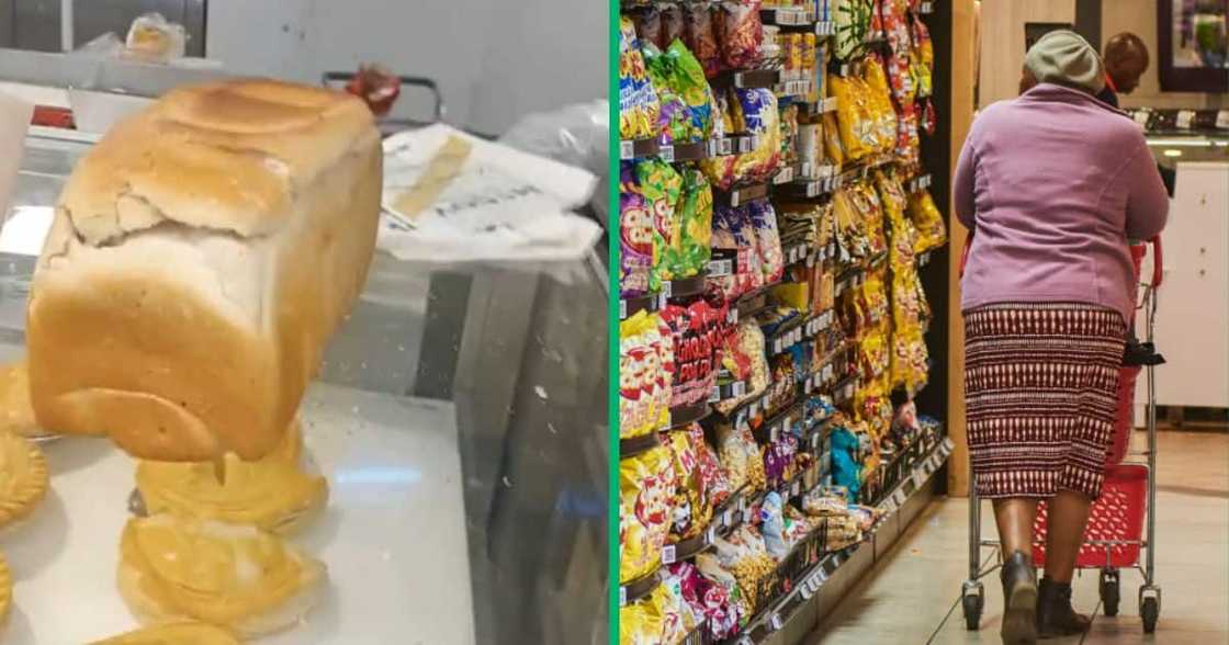 TikTok shows roach on bread at an SA grocery store TikTok shows roach on bread at an SA grocery store