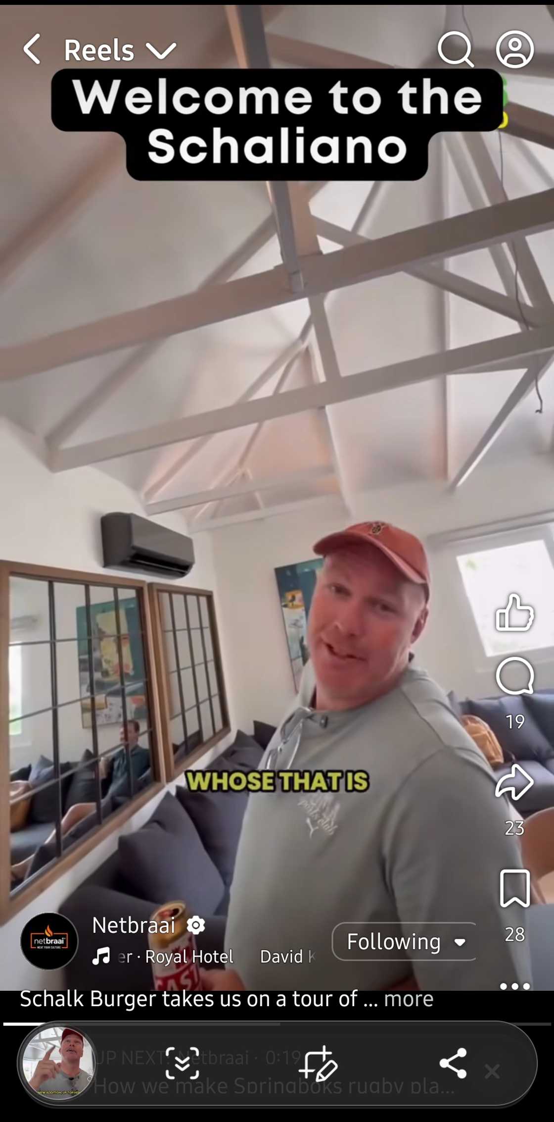 Springboks Springboks