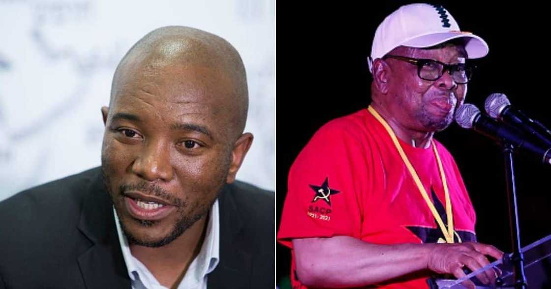 Politics,da, anc, government, schools, politics, Nzimande, Maimane Politics,da, anc, government, schools, politics, Nzimande, Maimane