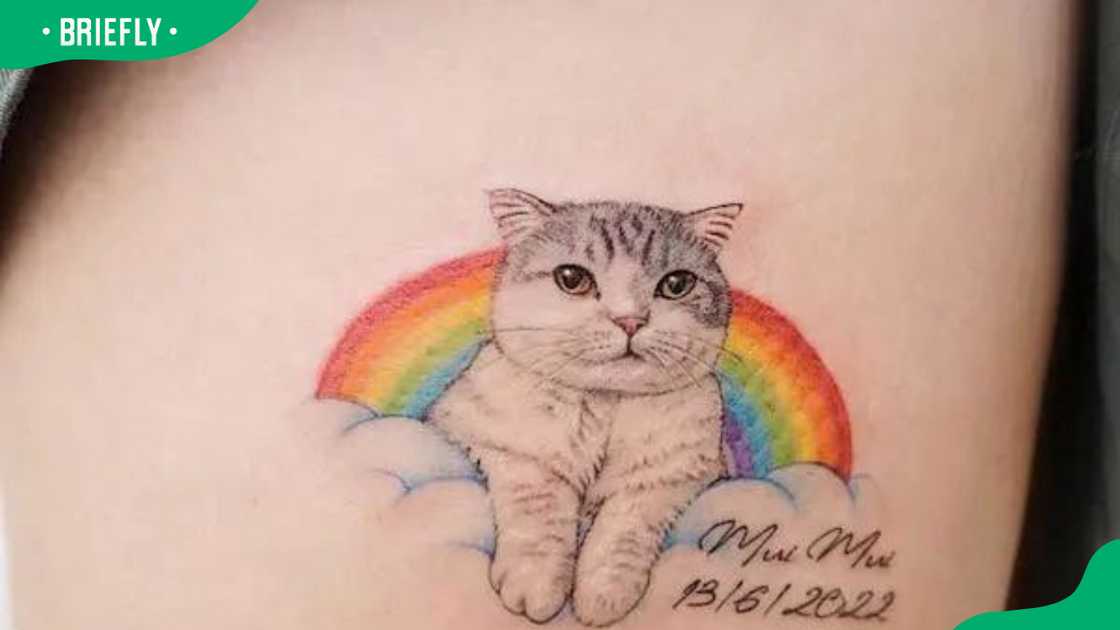 Cute rainbow and cat tattoos.