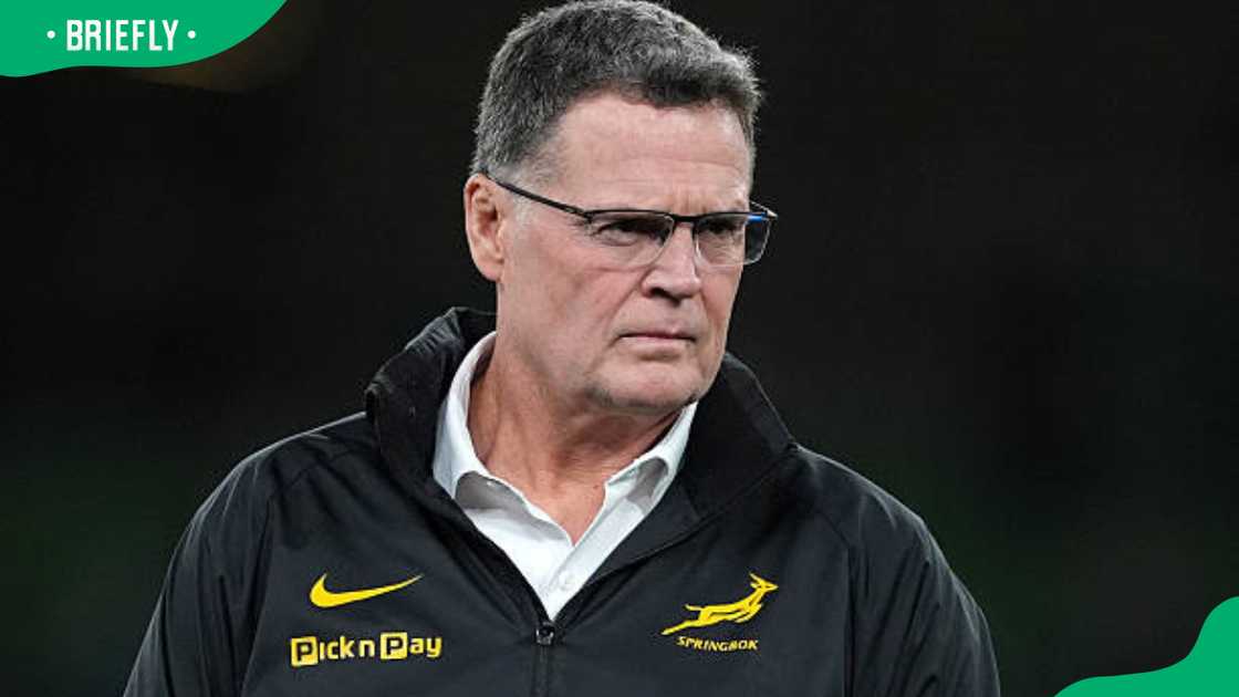 Rassie Erasmus at Aviva Stadium