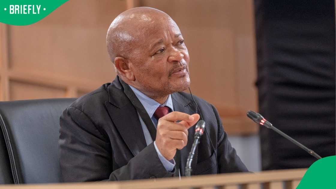 Senzo Mchunu admitted that he didn’t verify any Facebook complaints made against SAPS