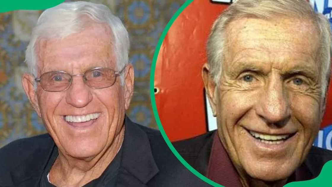 jerry van dyke's height