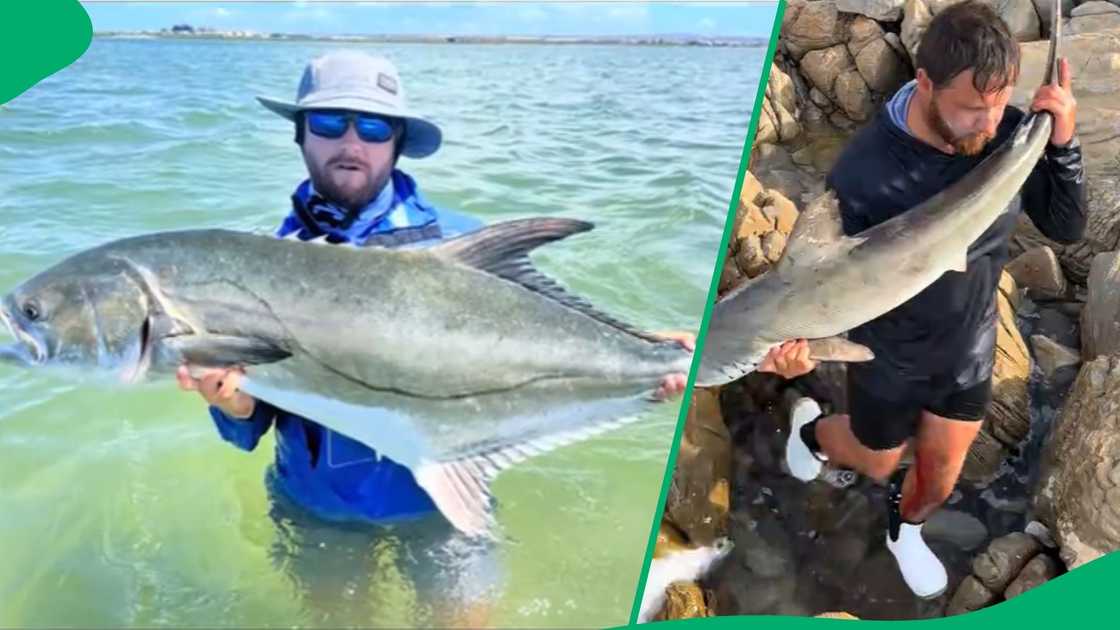 TikTok users praised a man for his selfless act after saving a shark