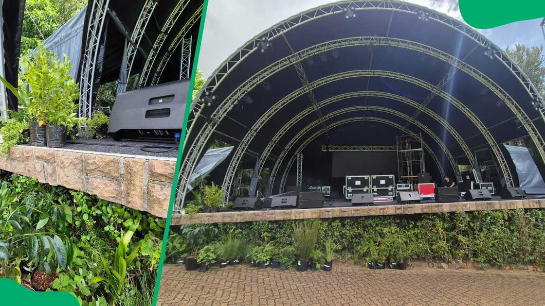 The Kirstenbosch botanical garden The Kirstenbosch botanical garden