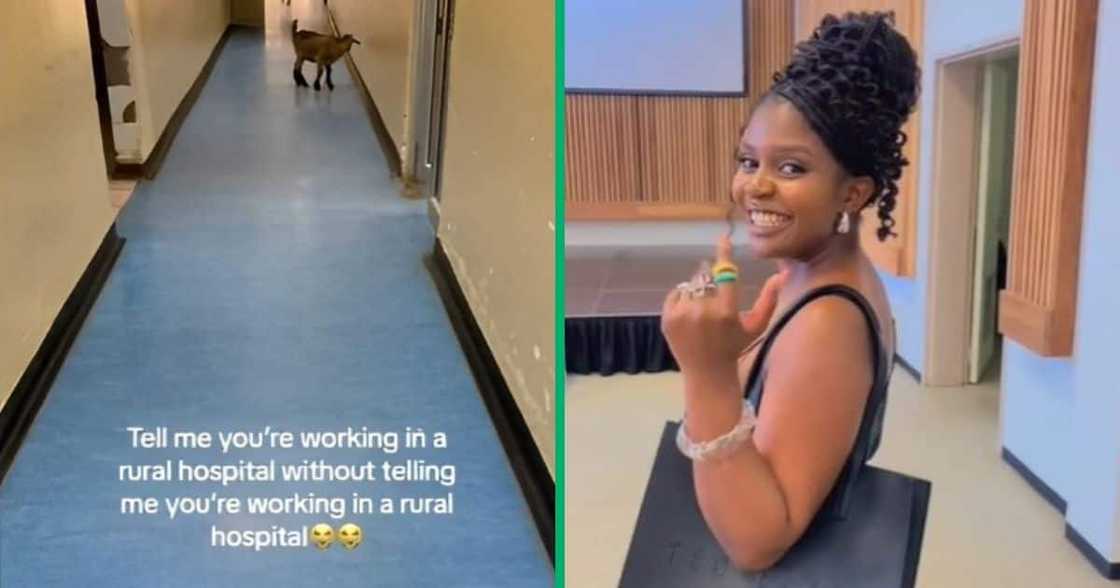 TikToK video shows goat in rural hospital