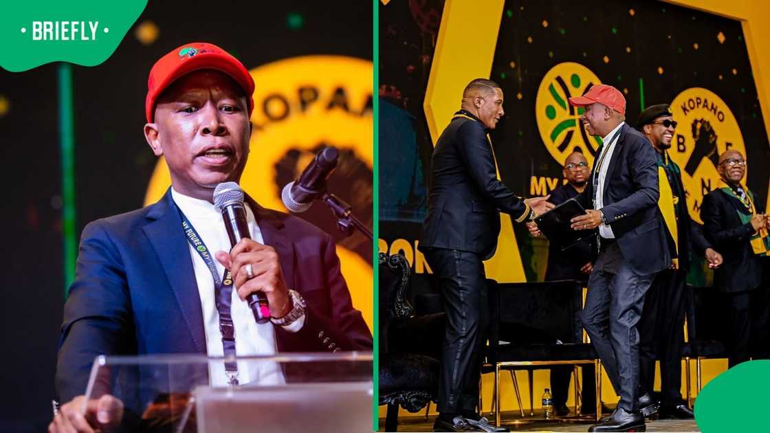 EFF president Julius Malema said the party would never form alliances with the Democratic Alliance and Freedom Front Plus