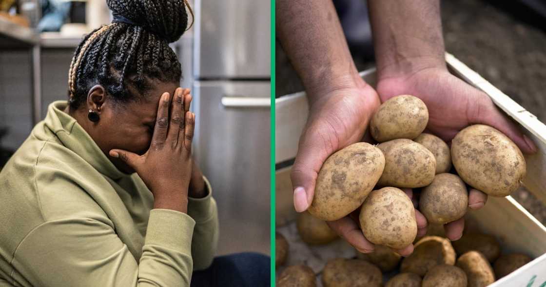 Food prices, South Africa, economy, inflation Food prices, South Africa, economy, inflation