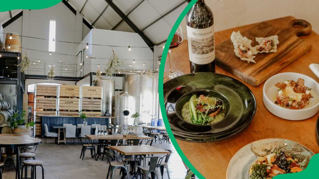 Durbanville Hills Winery Durbanville Hills Winery