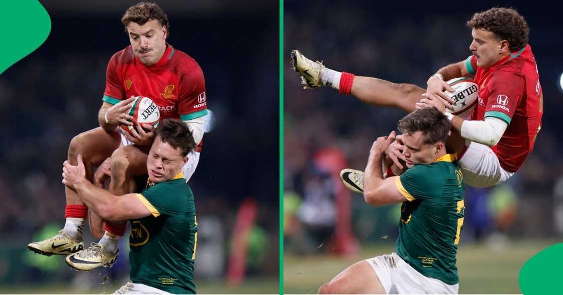 Springboks dominate Portugal in Bloemfontein Springboks dominate Portugal in Bloemfontein
