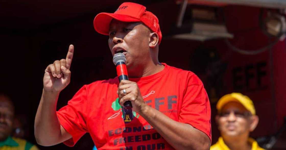 EFF leader Julius Malema EFF leader Julius Malema