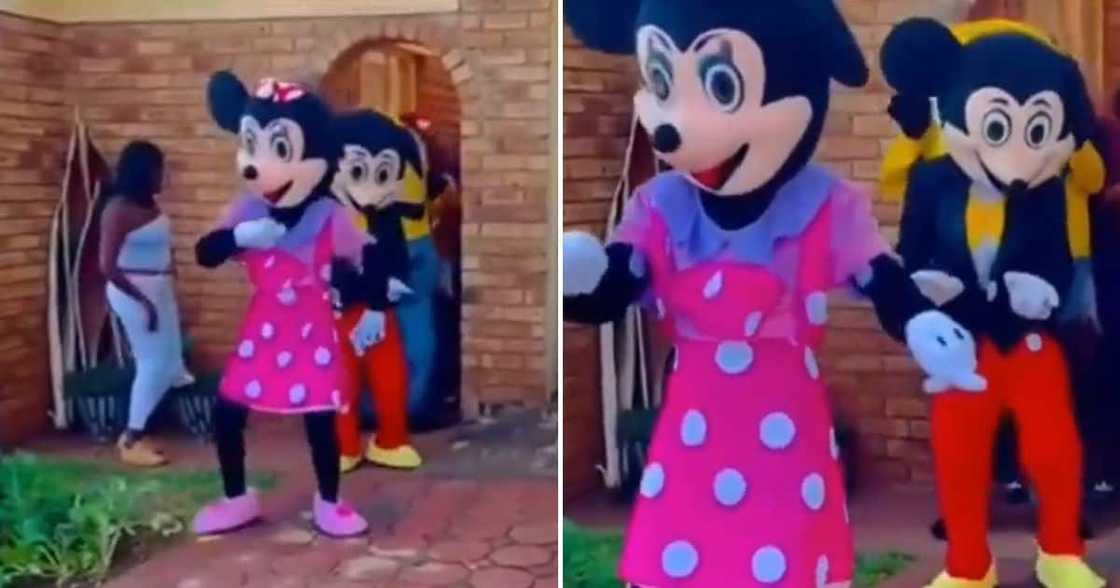 Minne and Mickey Mouse dance video Minne and Mickey Mouse dance video