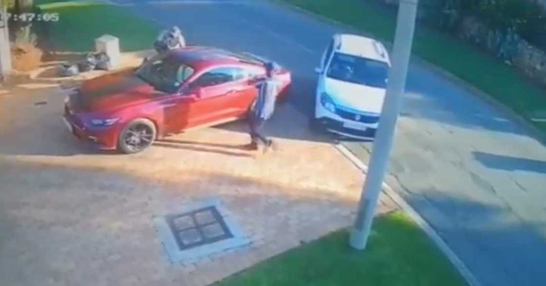 Clip of Mustang Driver Getting Hijacked Shared Online, Mzansi Reacts Clip of Mustang Driver Getting Hijacked Shared Online, Mzansi Reacts