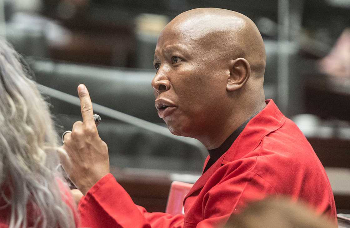 Julius Malema slammed Khusela Diko in Parliament