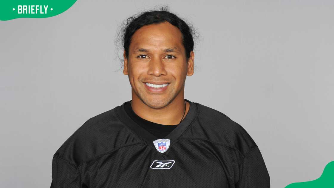 Troy Polamalu during the NFL season Troy Polamalu during the NFL season