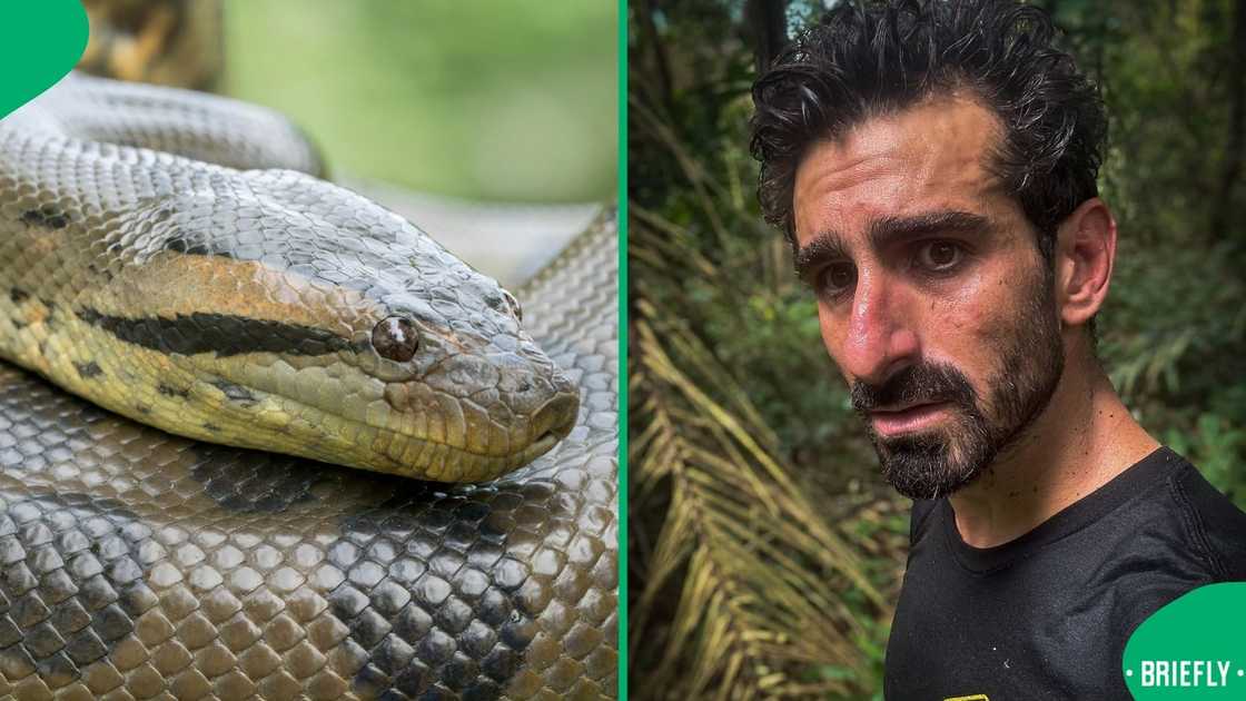 A man encountered an anaconda.