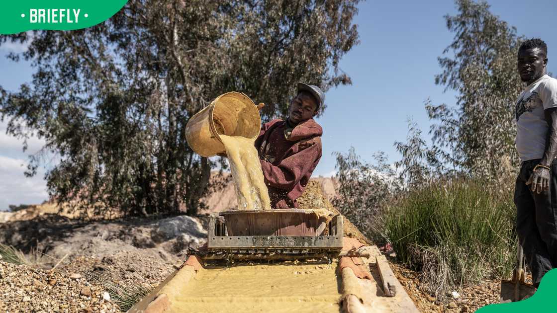 Zama zama mining in South Africa Zama zama mining in South Africa