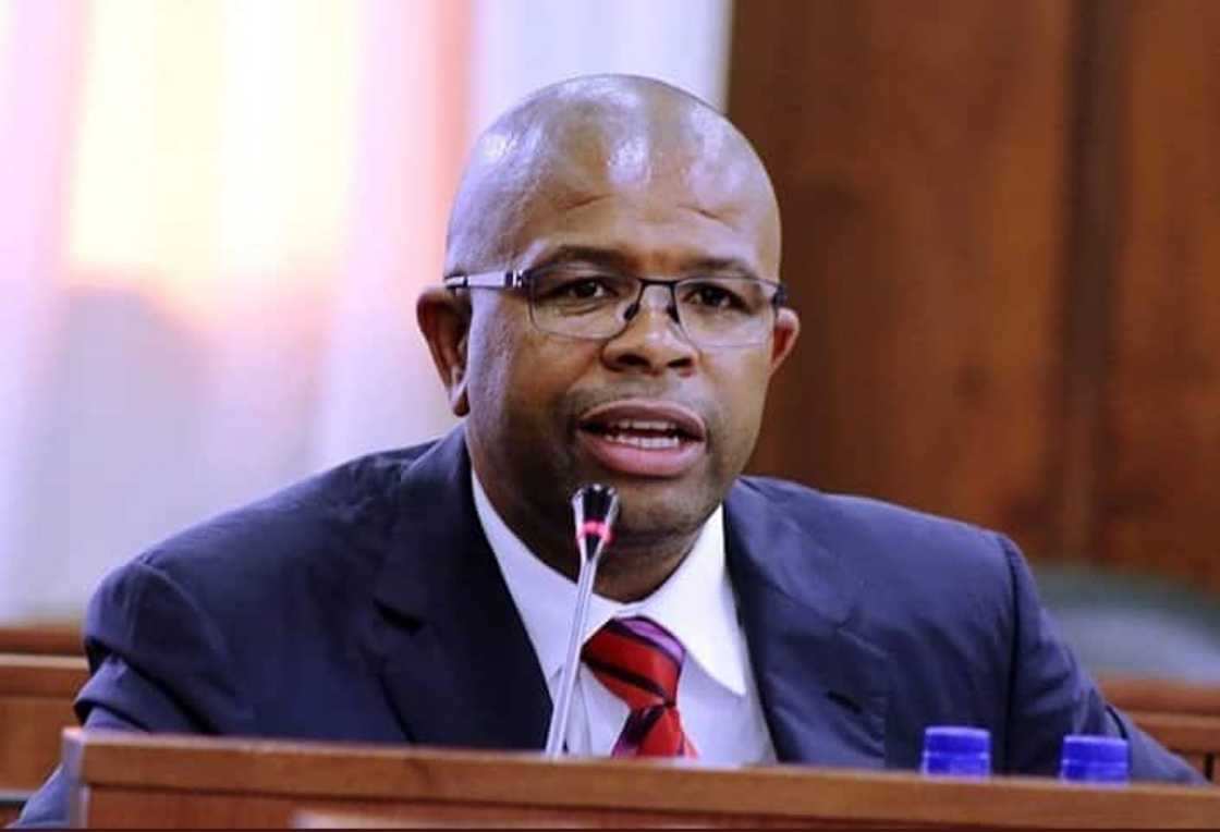 Tshepo Lucy Montana biography Tshepo Lucy Montana biography