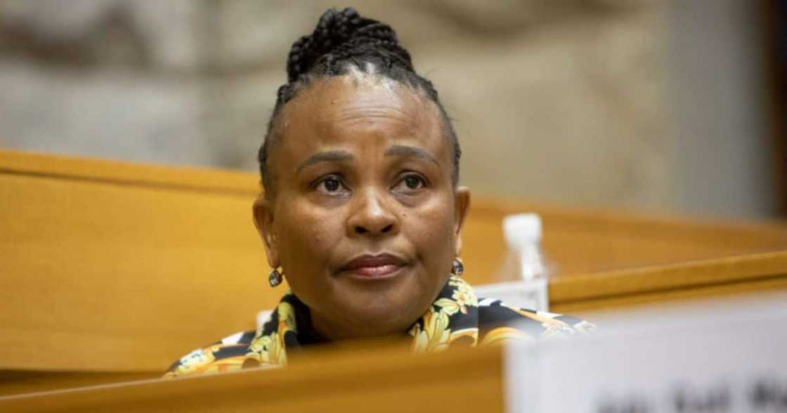 Witness says Busisiwe Mkhwebane was not a tyrant Witness says Busisiwe Mkhwebane was not a tyrant